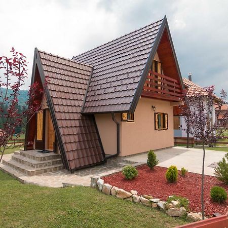 Mountain House Popovic Tara Villa Bajina Basta Exteriör bild