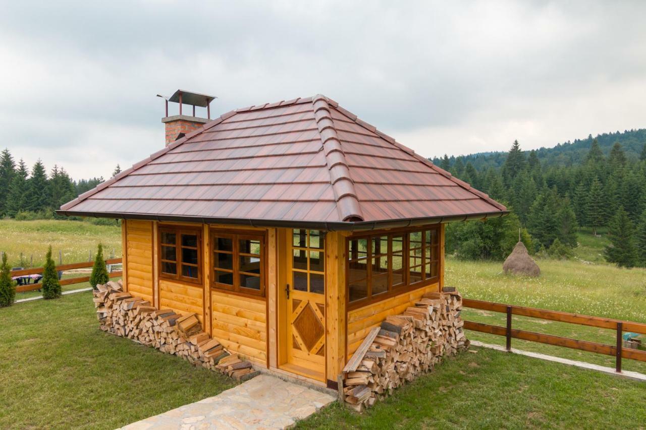 Mountain House Popovic Tara Villa Bajina Basta Exteriör bild