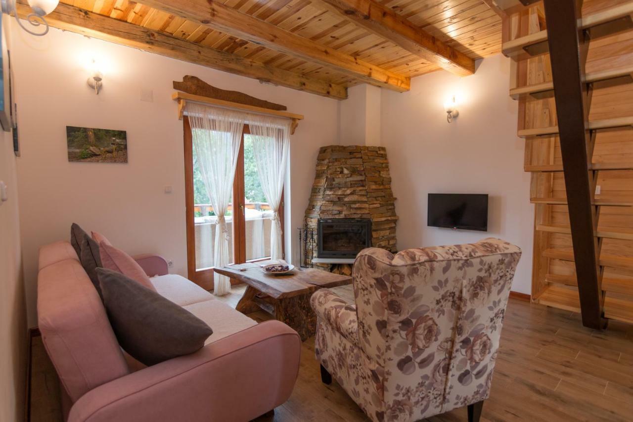 Mountain House Popovic Tara Villa Bajina Basta Exteriör bild
